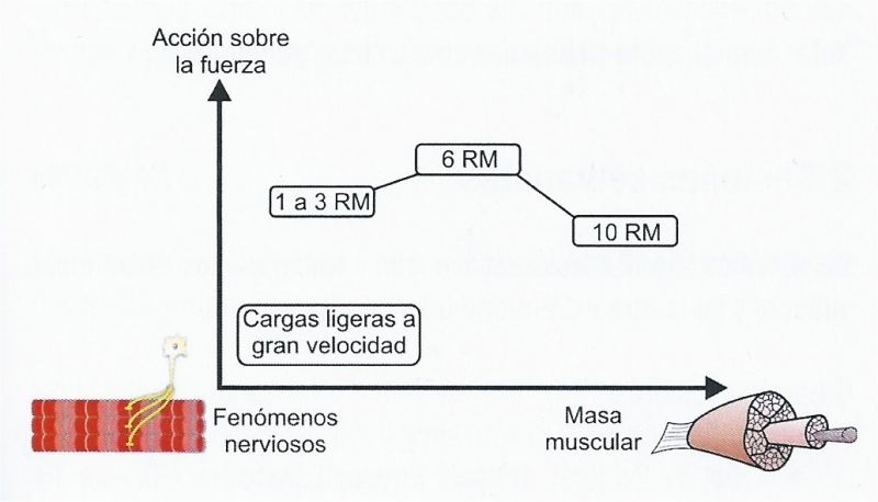 repeticiones-nervioso