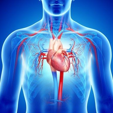 Insuficiencia-cardiaca corazon